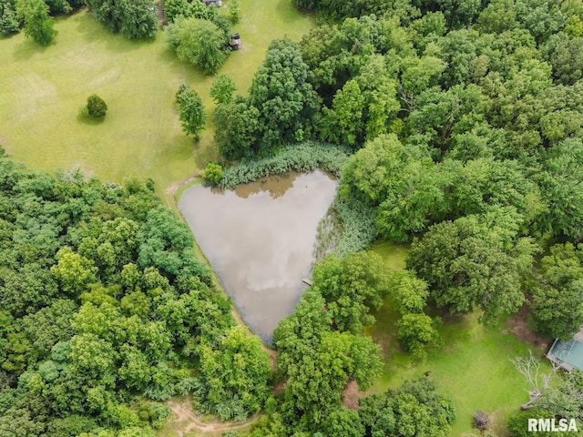 880 State Route 166, Creal Springs, IL 62922 - bird's eye view