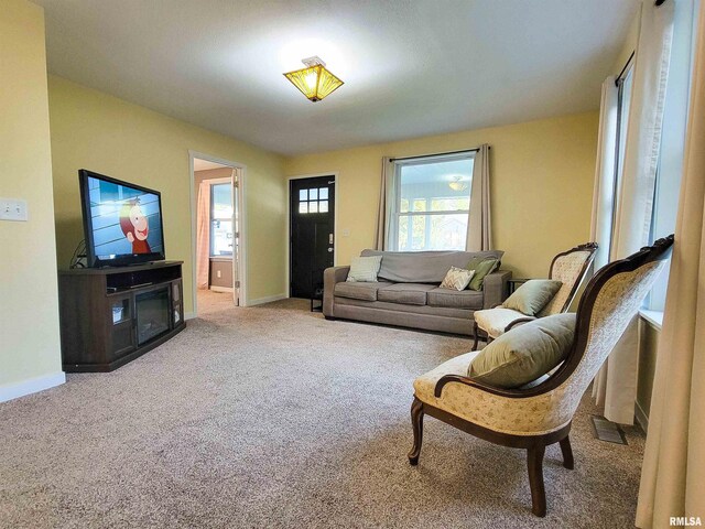 439 E N Ave, Flora, IL 62839 - photo 11