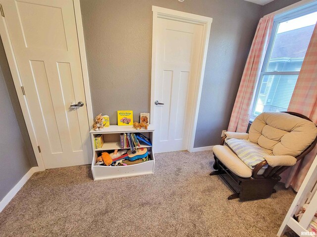 439 E N Ave, Flora, IL 62839 - photo 48