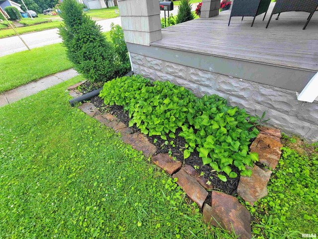 439 E N Ave, Flora, IL 62839 - photo 91