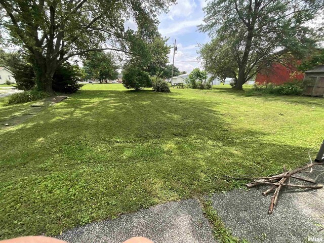 208 7th St, Alma, IL 62807 - photo 4