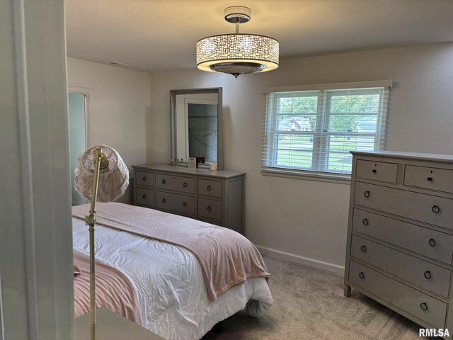 122 Paint Creek Ln, Carmi, IL 62821 - photo 28
