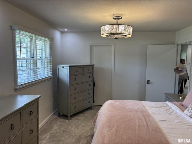 122 Paint Creek Ln, Carmi, IL 62821 - photo 39
