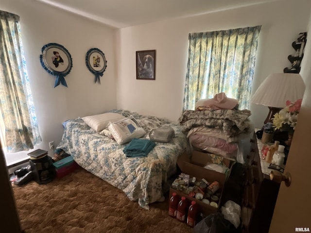1205 W Bennett St, Salem, IL 62881 - carpeted bedroom with multiple windows