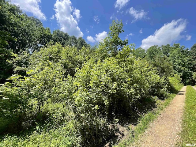 5 W River Rock Rd, Murphysboro, IL 62966