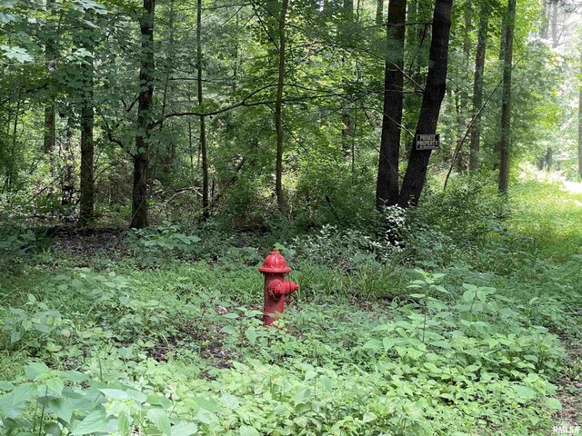 5 W River Rock Rd, Murphysboro, IL 62966