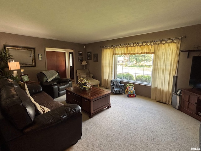 49 Jon St, Metropolis, IL 62960 - living area featuring carpet