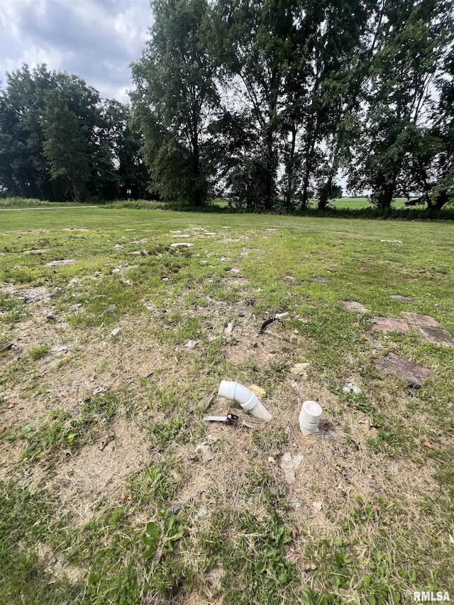 18640 Mount Zion Rd, Benton, IL 62812 - view of yard