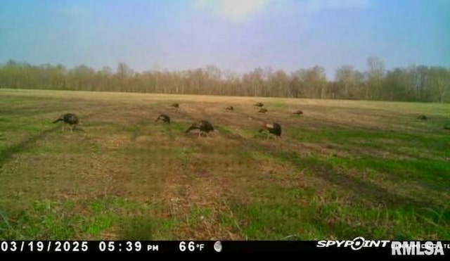 18640 Mount Zion Rd, Benton, IL 62812 - view of undeveloped land featuring rural landscape