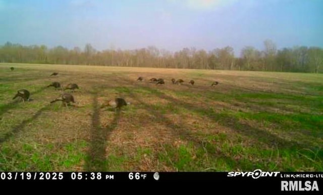 18640 Mount Zion Rd, Benton, IL 62812 - view of nature with rural landscape