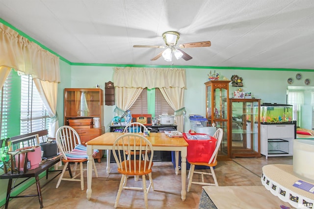 735 Sharp Rd, Anna, IL 62906 - dining room featuring plenty of natural light and ceiling fan