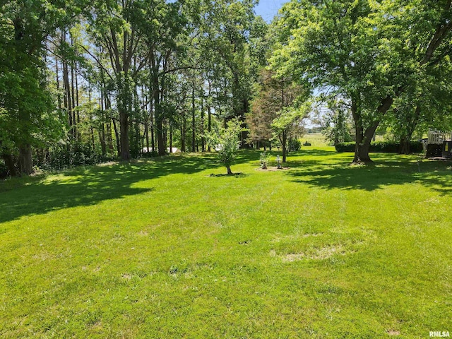 735 Sharp Rd, Anna, IL 62906 - view of grassy yard