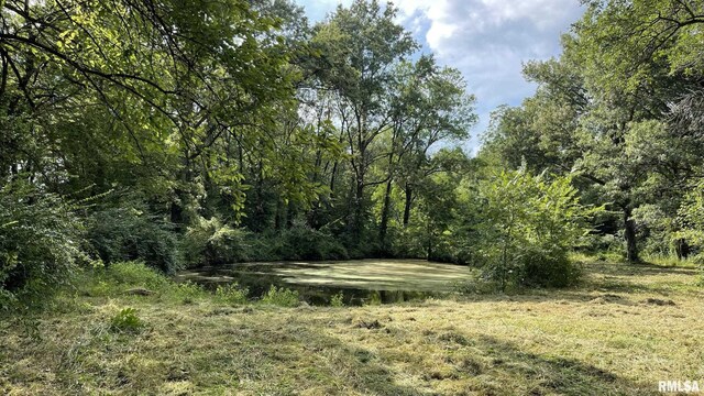 2900 Weilmuenster Rd, Lenzburg, IL 62255 - photo 40