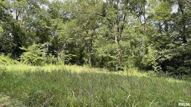 2900 Weilmuenster Rd, Lenzburg, IL 62255 - photo 41