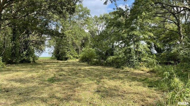 2900 Weilmuenster Rd, Lenzburg, IL 62255 - photo 42