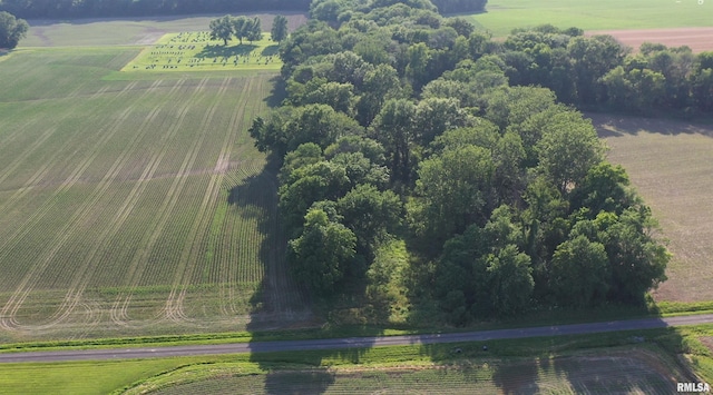 2900 Weilmuenster Rd, Lenzburg, IL 62255 - photo 48