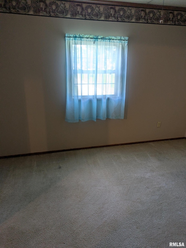 1205 Burgess Ave, Johnston City, IL 62951 - carpeted empty room with baseboards