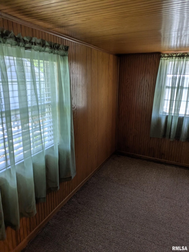 1205 Burgess Ave, Johnston City, IL 62951 - unfurnished room featuring healthy amount of natural light, wood walls, carpet, and wood ceiling