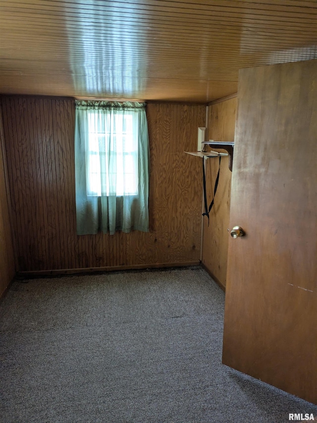1205 Burgess Ave, Johnston City, IL 62951 - carpeted spare room with wooden walls