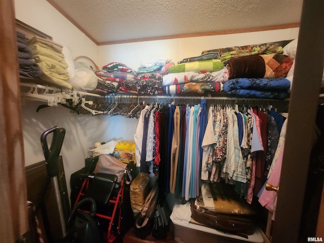 8747 Old State Route 14th Rte, Duquoin, IL 62832 - view of walk in closet