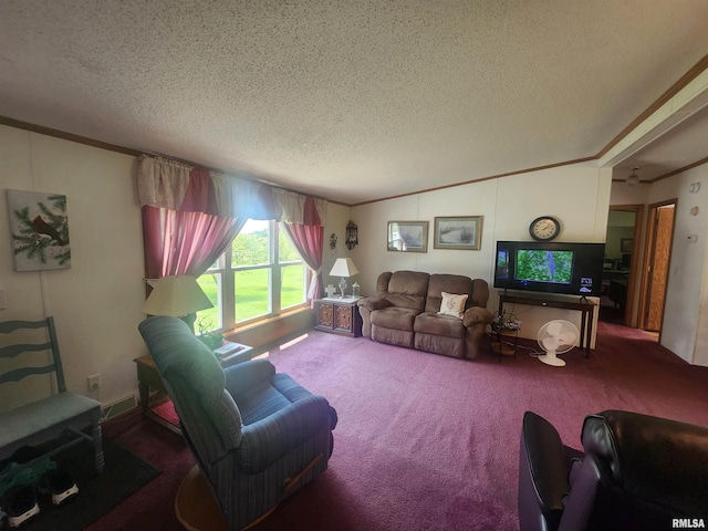 8747 Old State Route 14th Rte, Duquoin, IL 62832 - carpeted living room featuring a textured ceiling and ornamental molding
