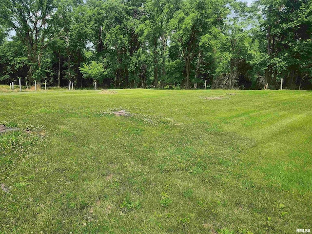 8747 Old State Route 14th Rte, Duquoin, IL 62832 - view of grassy yard with a wooded view