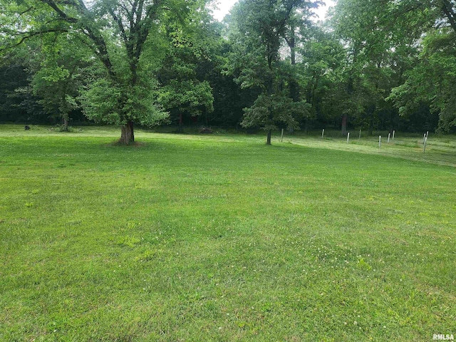 8747 Old State Route 14th Rte, Duquoin, IL 62832 - view of grassy yard