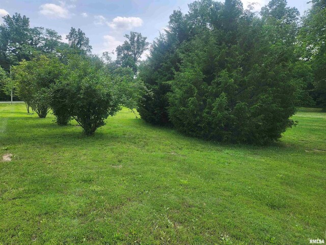 8747 Old State Route 14th Rte, Duquoin, IL 62832 - view of undeveloped land