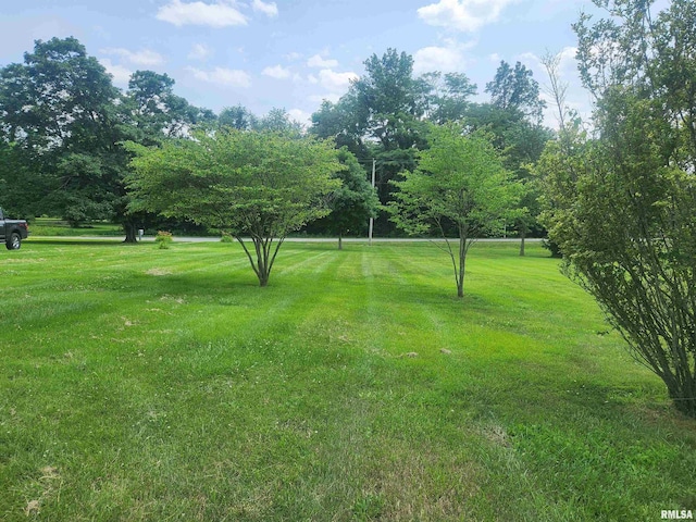 8747 Old State Route 14th Rte, Duquoin, IL 62832 - view of grassy yard