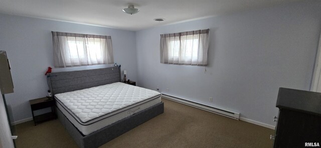 308 Blossom St, Carterville, IL 62918 - carpeted bedroom with a baseboard radiator and multiple windows