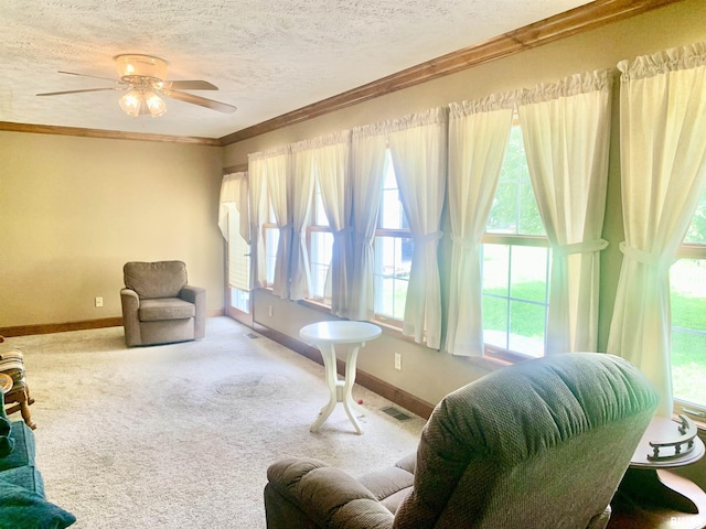 312 S Mckinley St, Galatia, IL 62935 - photo 15
