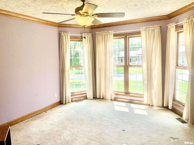 312 S Mckinley St, Galatia, IL 62935 - photo 27