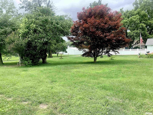 312 S Mckinley St, Galatia, IL 62935 - photo 6