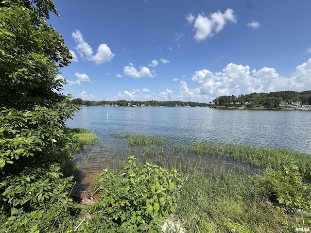0000 N Lakeshore Dr, Goreville, IL 62939
