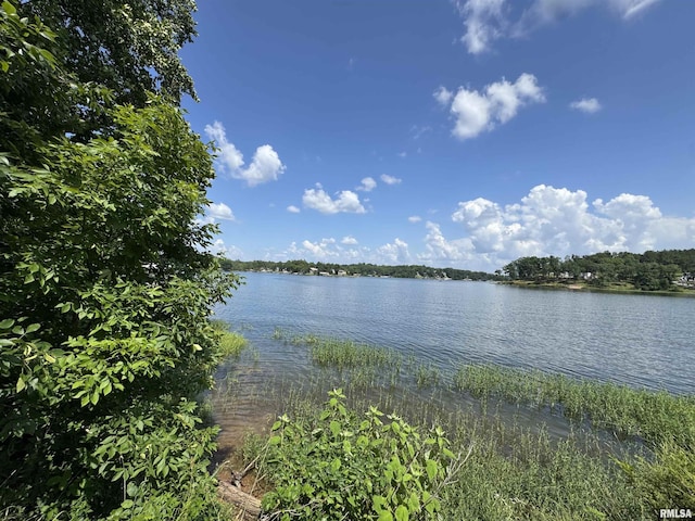 0000 N Lakeshore Dr, Goreville, IL 62939
