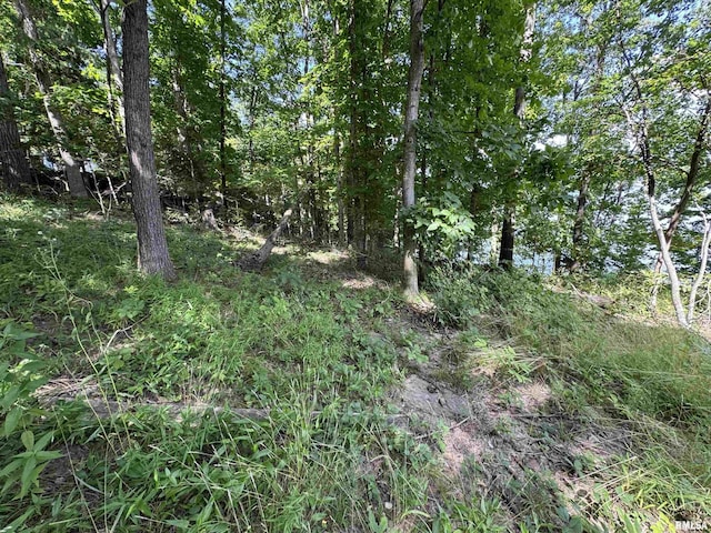 0000 N Lakeshore Dr, Goreville, IL 62939