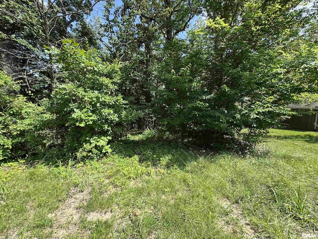 0000 N Lakeshore Dr, Goreville, IL 62939