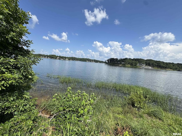 0000 N Lakeshore Dr, Goreville, IL 62939