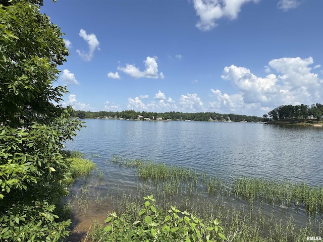 0000 N Lakeshore Dr, Goreville, IL 62939