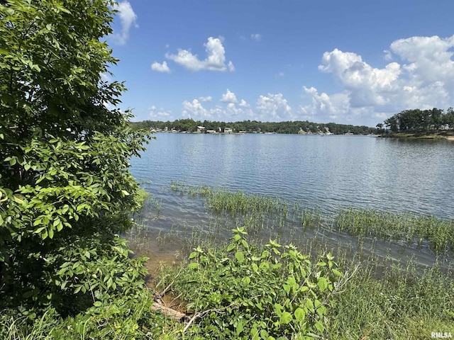 0000 N Lakeshore Dr, Goreville, IL 62939