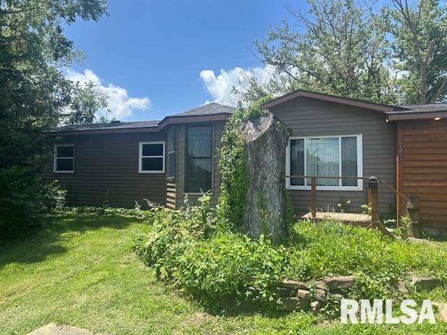 1011 S 20th St, Murphysboro, IL 62966 - view of side of home with a lawn