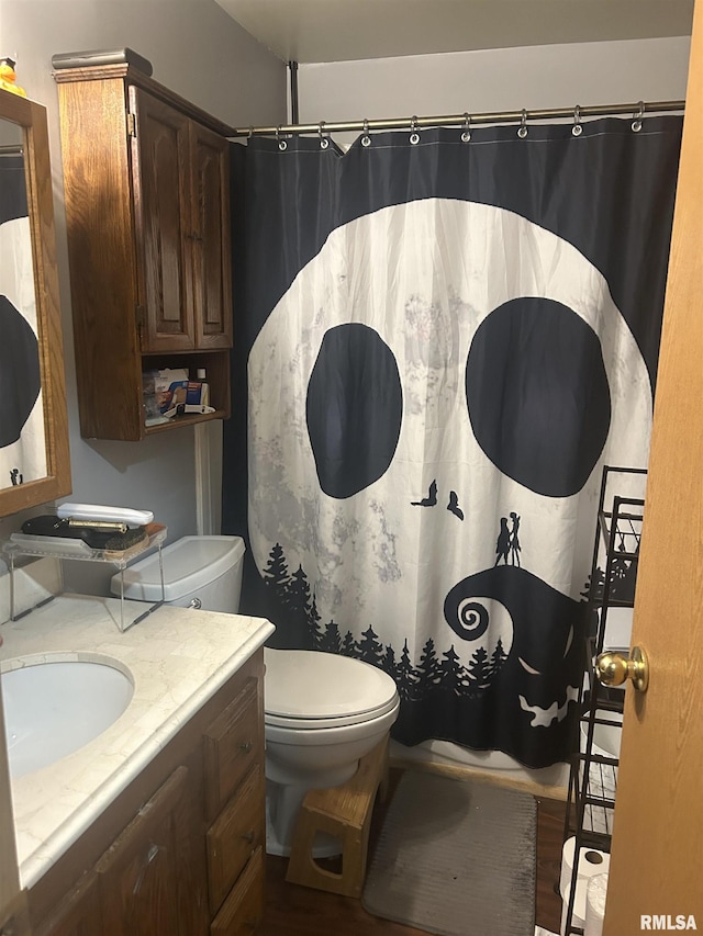 1011 S 20th St, Murphysboro, IL 62966 - full bath featuring vanity, wood finished floors, and curtained shower