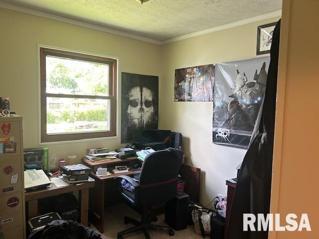 1011 S 20th St, Murphysboro, IL 62966 - carpeted office with crown molding and a textured ceiling
