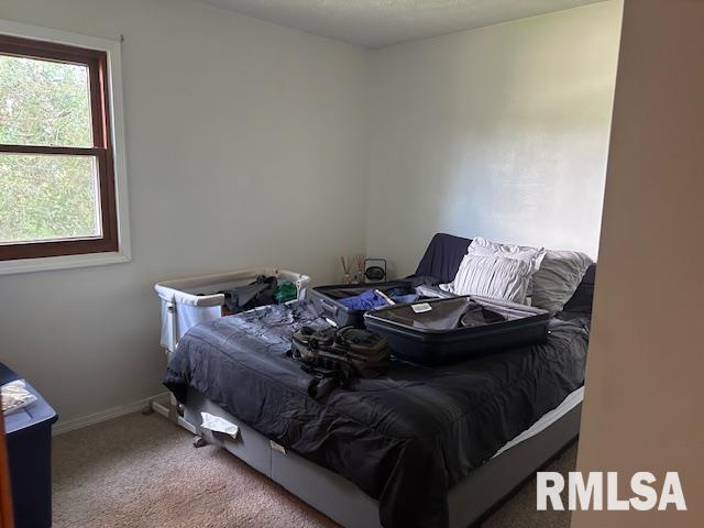 1011 S 20th St, Murphysboro, IL 62966 - bedroom with carpet and baseboards