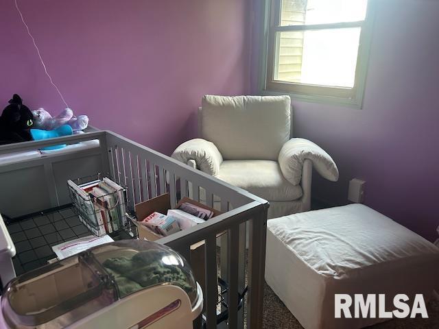 1011 S 20th St, Murphysboro, IL 62966 - view of bedroom