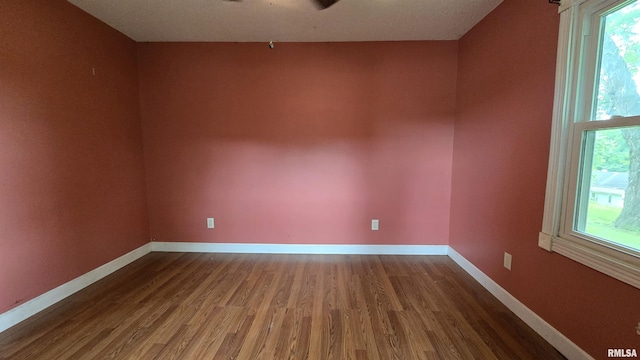 711 Mclean St, Rosiclare, IL 62982 - unfurnished room with dark wood finished floors and plenty of natural light