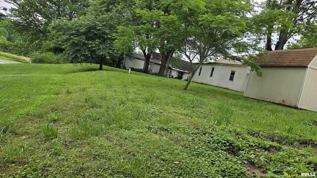 711 Mclean St, Rosiclare, IL 62982 - view of grassy yard featuring a storage shed