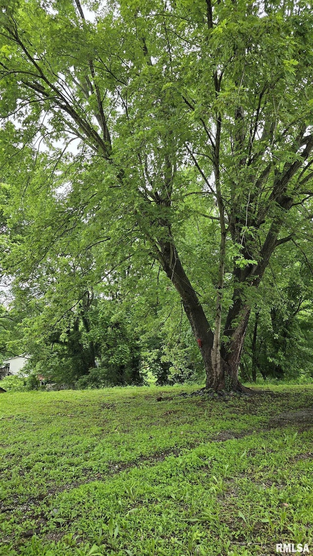 711 Mclean St, Rosiclare, IL 62982 - view of local wilderness
