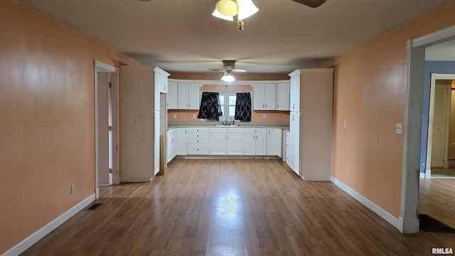 711 Mclean St, Rosiclare, IL 62982 - kitchen featuring ceiling fan, dark wood-style floors, white cabinets, and light countertops