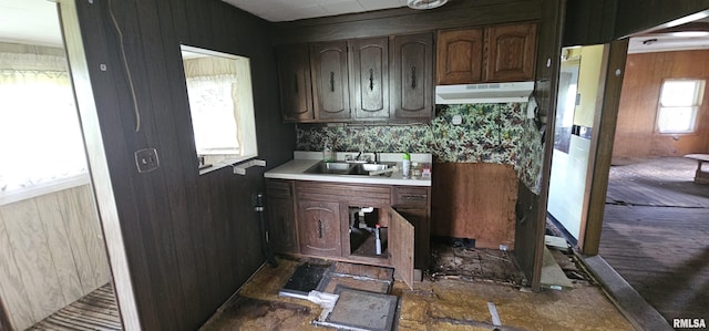 4801 Quail Run Rd, Salem, IL 62881 - kitchen with under cabinet range hood and light countertops